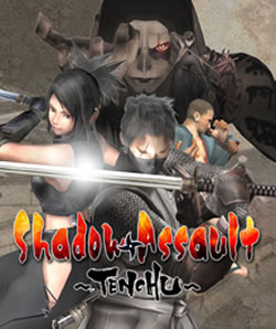 Capa de Shadow Assault: Tenchu