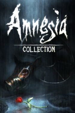 Capa de Amnesia: Collection