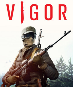 Cover of Vigor