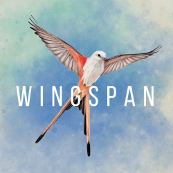 Capa de Wingspan