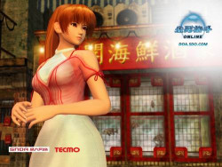 Cover of Dead or Alive Online