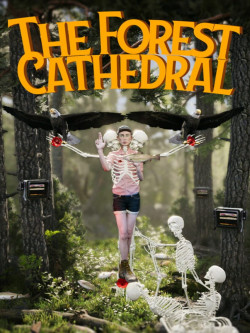Capa de The Forest Cathedral