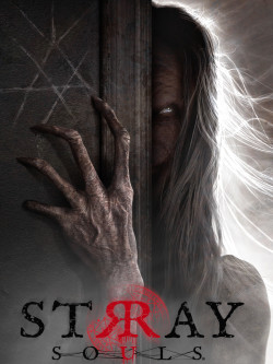 Cover of Stray Souls