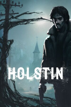 Cover of Holstin