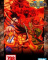 Cover of Samurai Shodown V