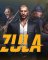 Cover of Zula Global