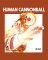 Cover of Human Cannonball