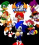 Capa de Sonic the Fighters