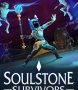 Cover of Soulstone Survivors
