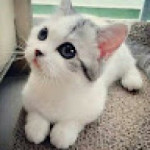 Picture of ze sousa souza