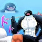 Picture of Pingu Russo