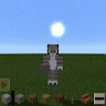 Picture of canal de um gato