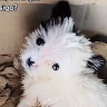 Foto de Gabriela Eduarda