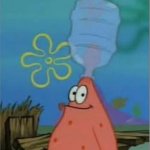 Picture of General Guaxinim