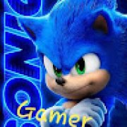 Picture of Sonic Gamer
