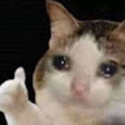 Foto de HEED YAZOGHILL