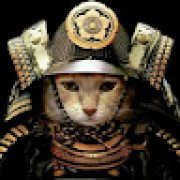 Foto de António Vitor