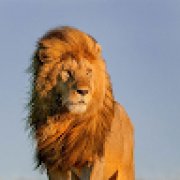 Picture of Daniel Sousa