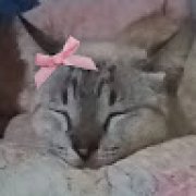 Picture of Agatha Maria