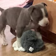 Picture of Clara Lucas