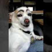 Picture of Guilherme Farias Nunes