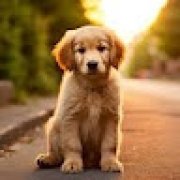 Foto de Rafael Fernandes Cortezi Cassim de Lima