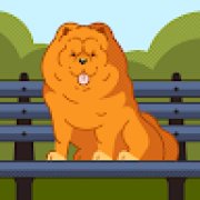 Picture of Edmar Buraneli