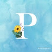 Picture of Pietro Mosquette