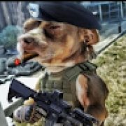 Picture of Nostalgia Cartoon